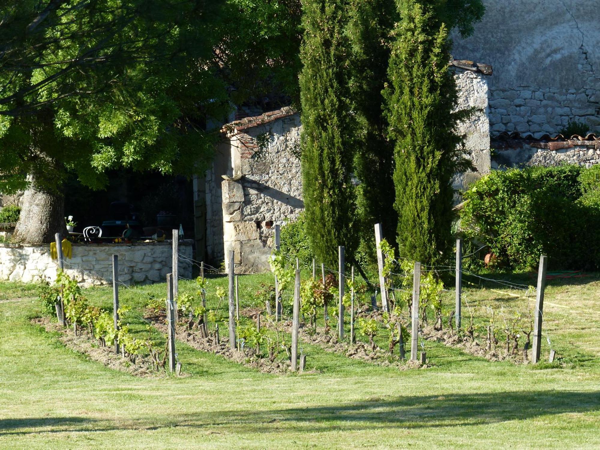 Domaine De La Monestarie - Teritoria Hotel Bernac  Exterior foto